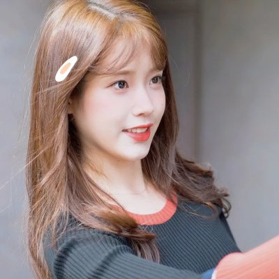 狗狗监护权
